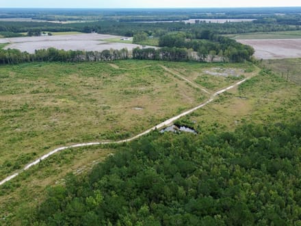 Bertie County Recreational Timber Tract
