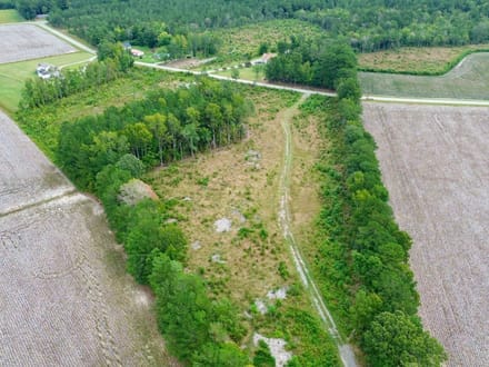 Bertie County Recreational Timber Tract