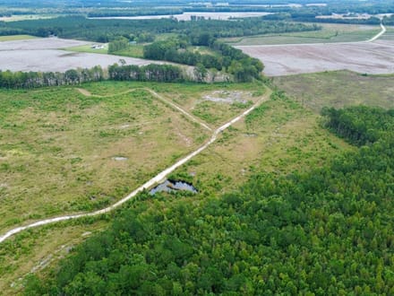 Bertie County Recreational Timber Tract