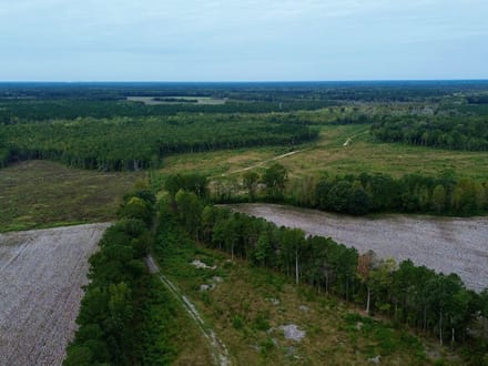Bertie County Recreational Timber Tract