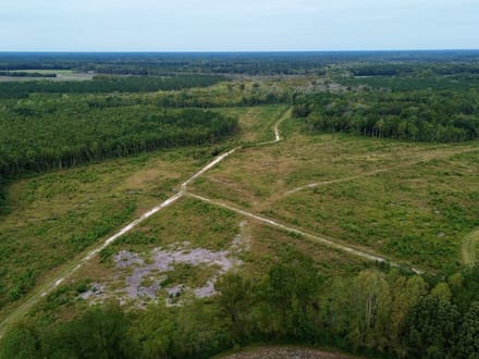 Bertie County Recreational Timber Tract