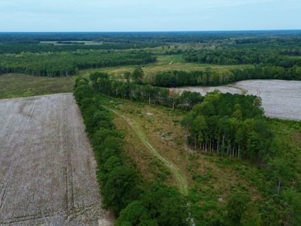 Bertie County Recreational Timber Tract