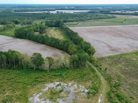 Bertie County Recreational Timber Tract