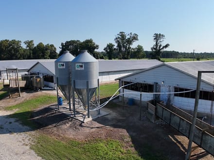 Dover Commercial Hog Operation – 3 Houses 
