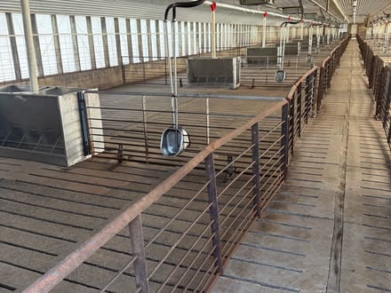 Dover Commercial Hog Operation – 3 Houses 