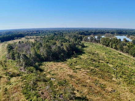 Neuse River Recreational Timber Tract
