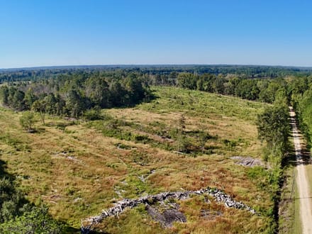 Neuse River Recreational Timber Tract