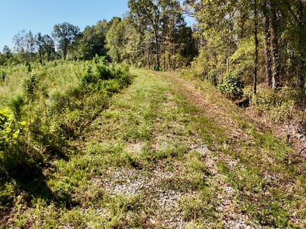 Neuse River Recreational Timber Tract