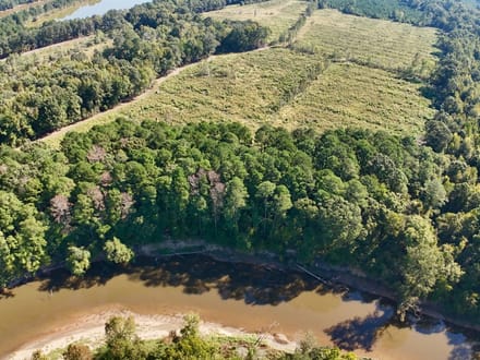 Neuse River Recreational Timber Tract