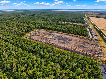 Trophy Black Bear Hunting Tract