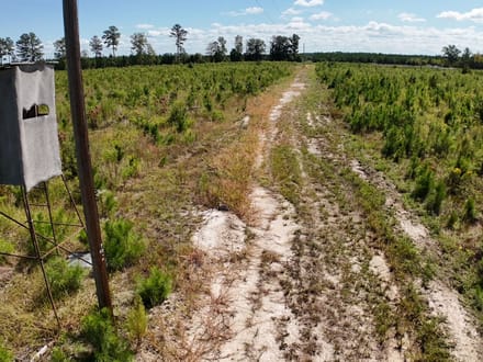 Northampton County Timber Recreational Tract