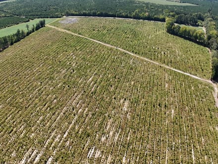 Northampton County Timber Recreational Tract
