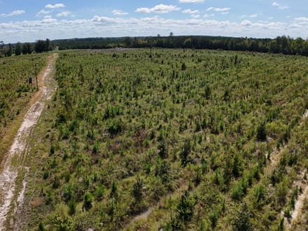 Northampton County Timber Recreational Tract