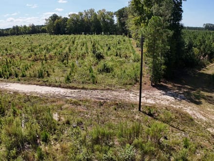 Northampton County Timber Recreational Tract