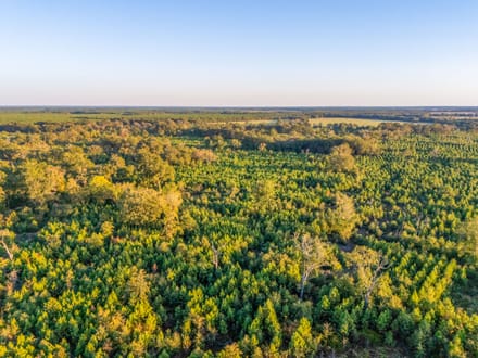 Tract 3 Pecan Bayou Farms 
