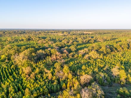Tract 3 Pecan Bayou Farms 