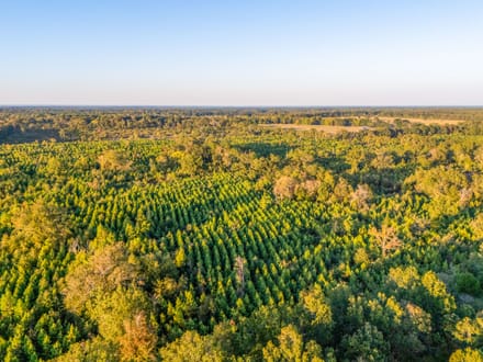 Tract 3 Pecan Bayou Farms 