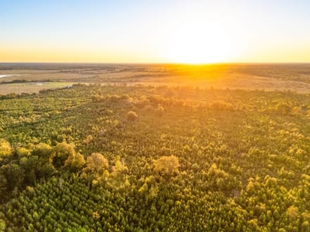 Tract 3 Pecan Bayou Farms 
