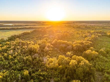 Tract 3 Pecan Bayou Farms 