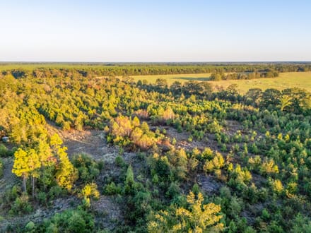 Tract 3 Pecan Bayou Farms 
