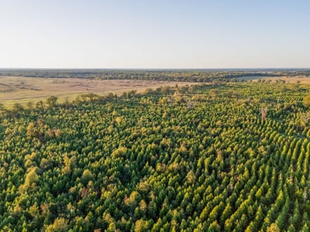 Tract 1 Pecan Bayou Farms 