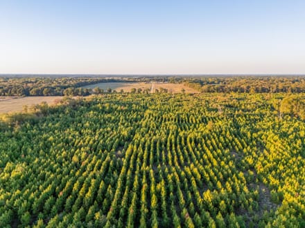 Tract 1 Pecan Bayou Farms 