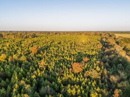 Tract 1 Pecan Bayou Farms 