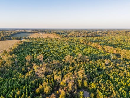 Tract 1 Pecan Bayou Farms 