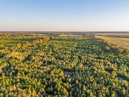 Tract 1 Pecan Bayou Farms 