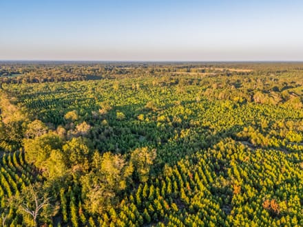 Tract 2 Pecan Bayou Farms 