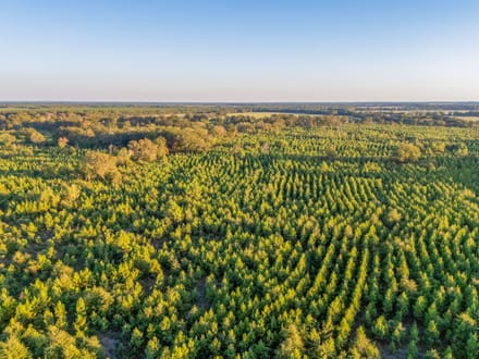 Tract 2 Pecan Bayou Farms 