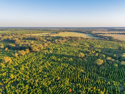 Tract 2 Pecan Bayou Farms 