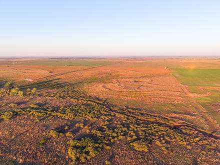Pheasant Ridge Farm 