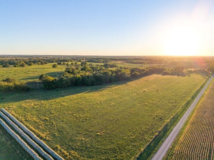 Norris Creek Cattle Farm 