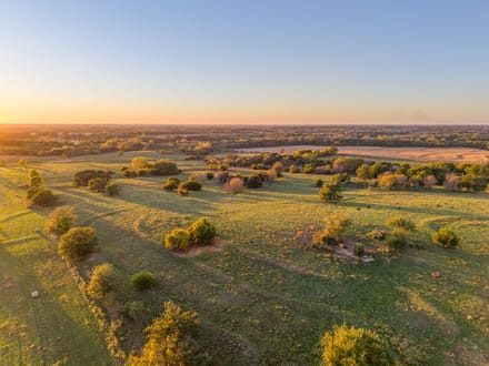 Norris Creek Cattle Farm 