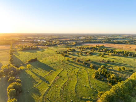 Norris Creek Cattle Farm 