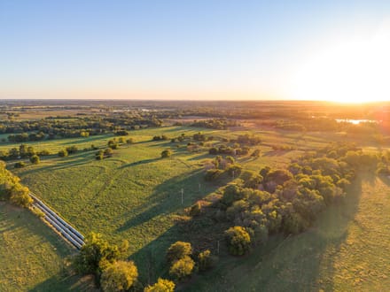 Norris Creek Cattle Farm 