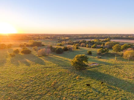 Norris Creek Cattle Farm 