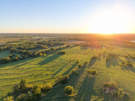 Norris Creek Cattle Farm 