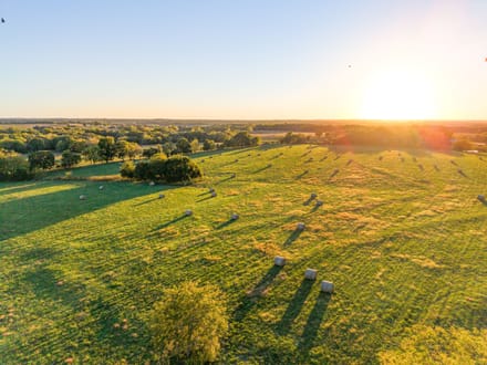 Norris Creek Cattle Farm 