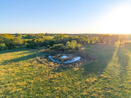 Norris Creek Cattle Farm 