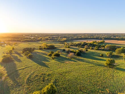 Norris Creek Cattle Farm 
