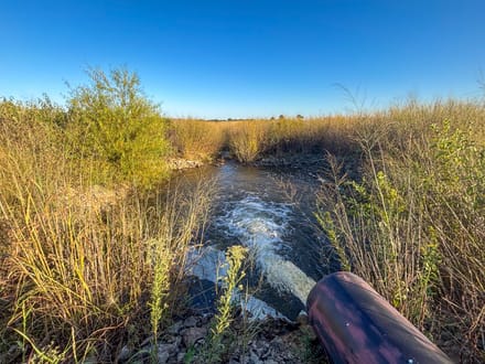 Prairie Lake of the Flint Hills 