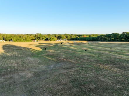 Timber Plot Ranch 