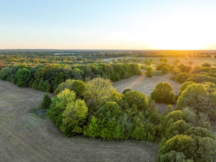 Timber Plot Ranch 
