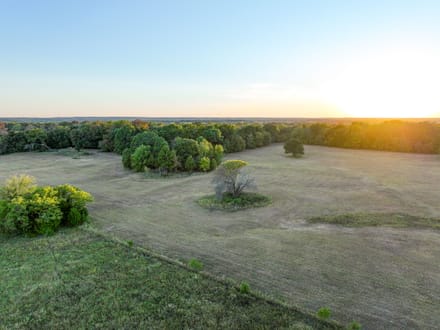 Timber Plot Ranch 