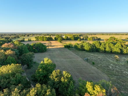 Timber Plot Ranch 