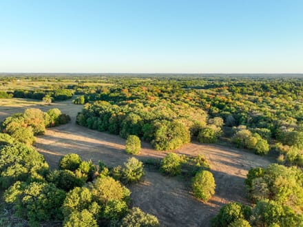 Timber Plot Ranch 