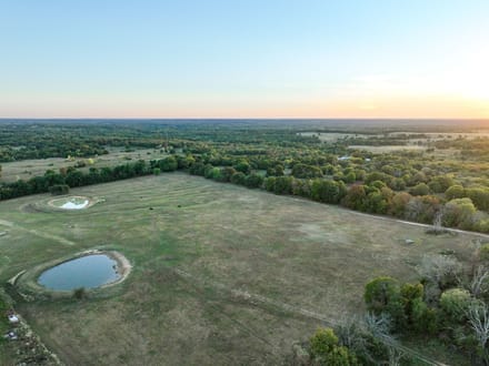 Timber Plot Ranch 