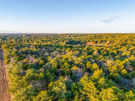 Cedar Hills Hunting Farm 